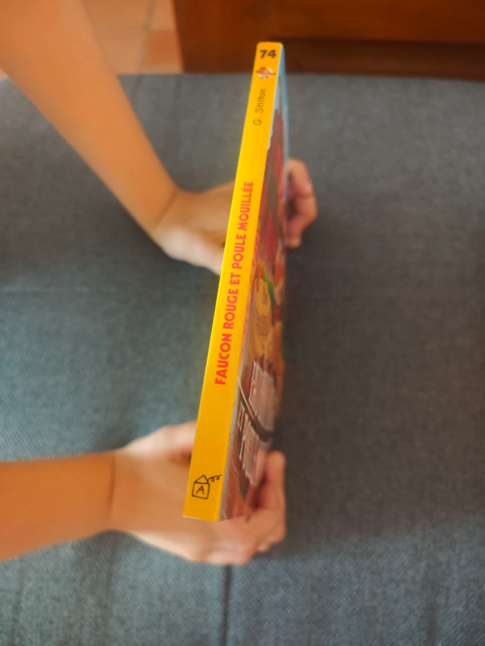 Faucon vermelho e franga molhada Volume 74 (Geronimo Stilton) – photo 2